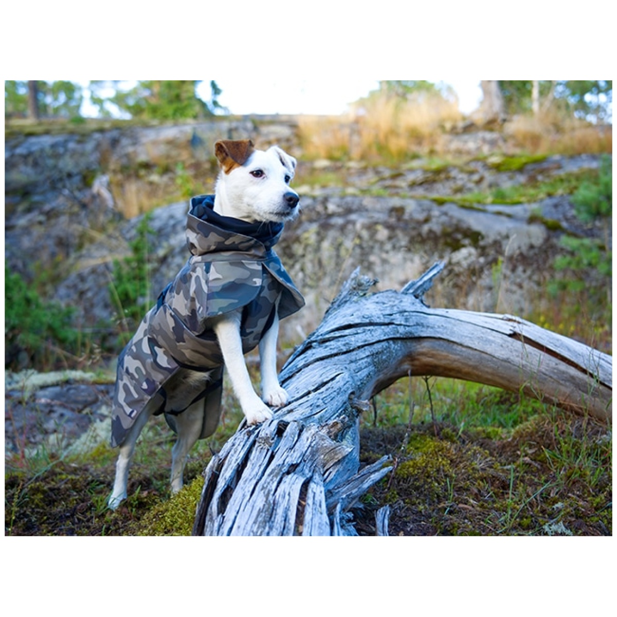 Paikka Recovery vinterfrakke, camo - Image 6