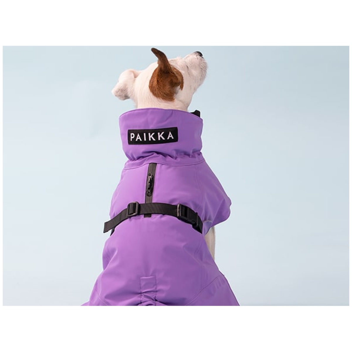 Paikka Recovery vinterfrakke, lilla - Image 7
