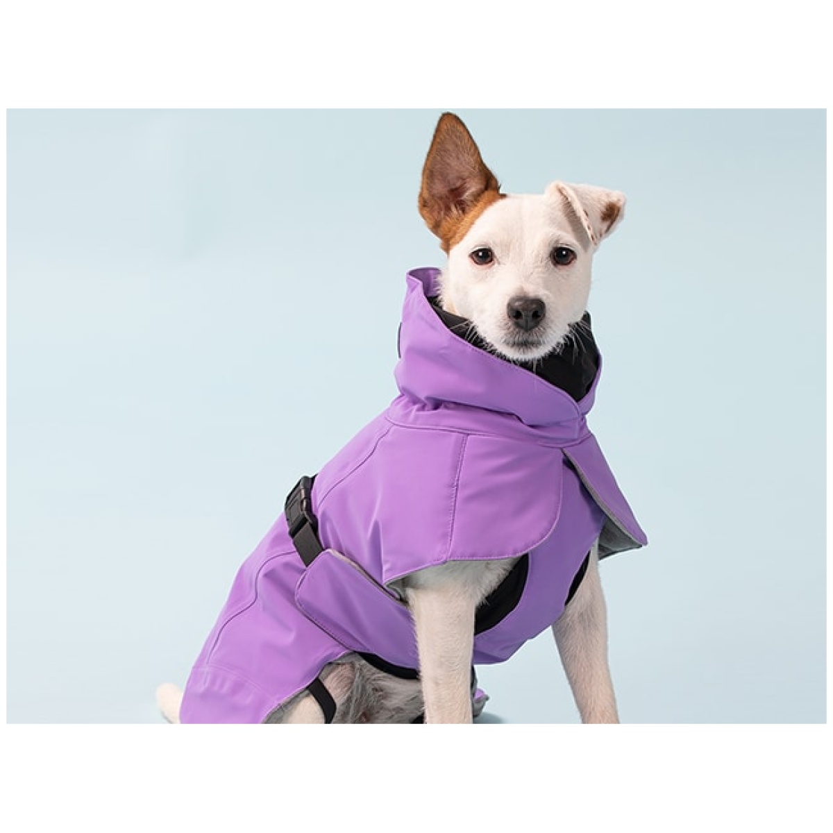 Paikka Recovery vinterfrakke, lilla - Image 9