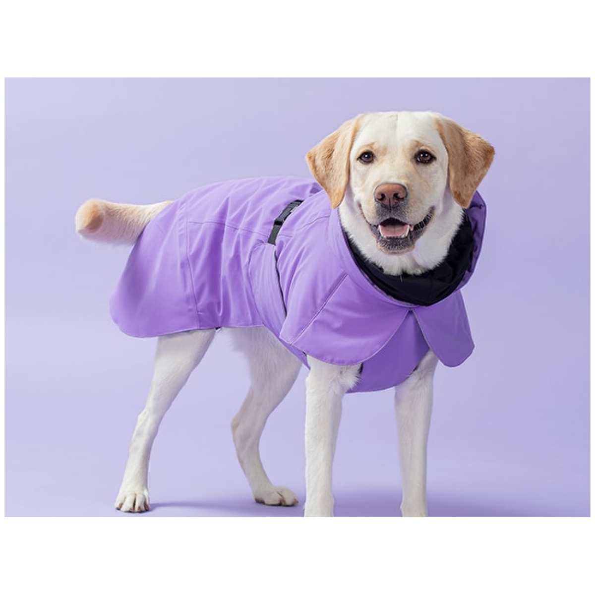 Paikka Recovery vinterfrakke, lilla - Image 11