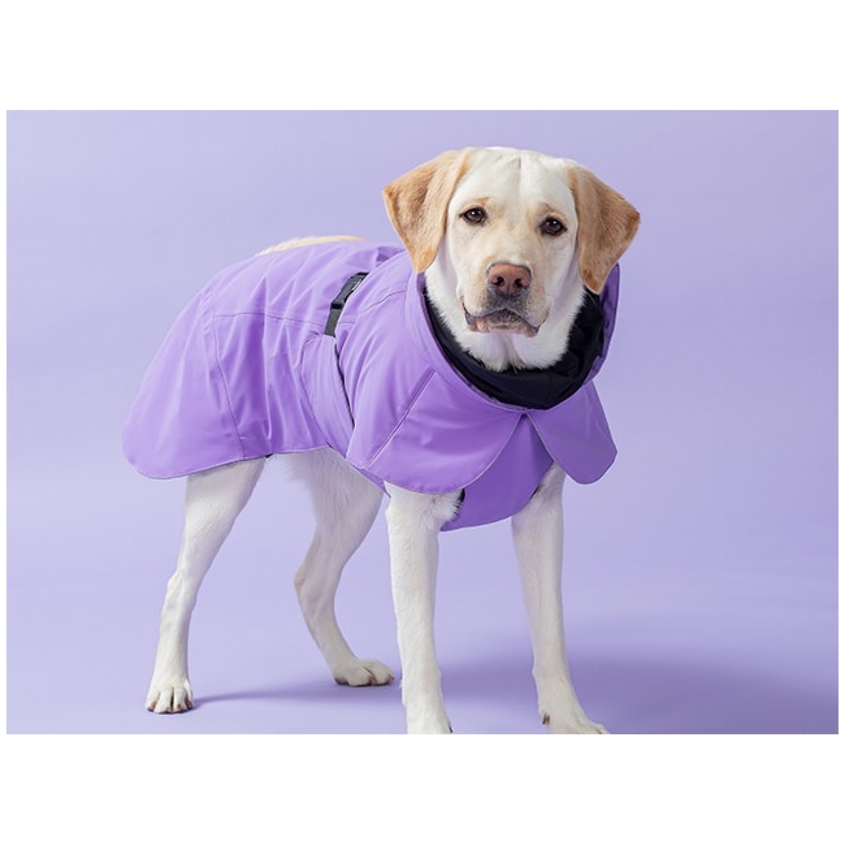 Paikka Recovery vinterfrakke, lilla - Image 12