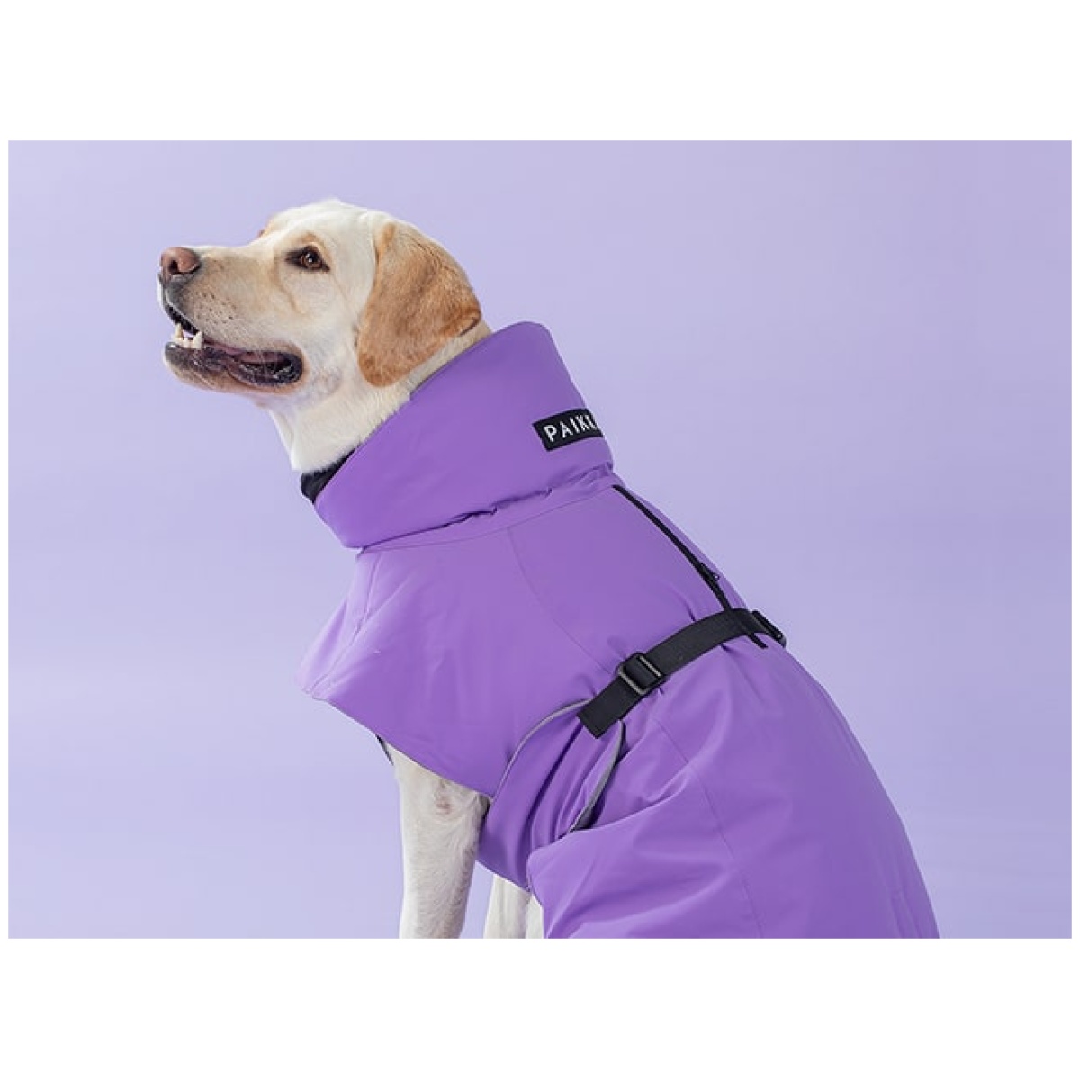 Paikka Recovery vinterfrakke, lilla - Image 13