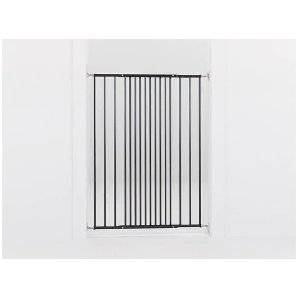 Dog Space Charlie hundegitter