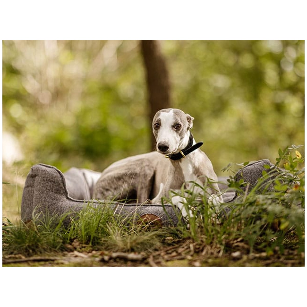 Swaggin Tails Sömnig Hundeseng, Space Grey - Image 9