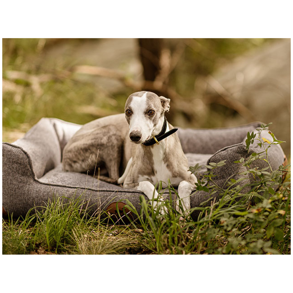 Swaggin Tails Sömnig Hundeseng, Space Grey - Image 8