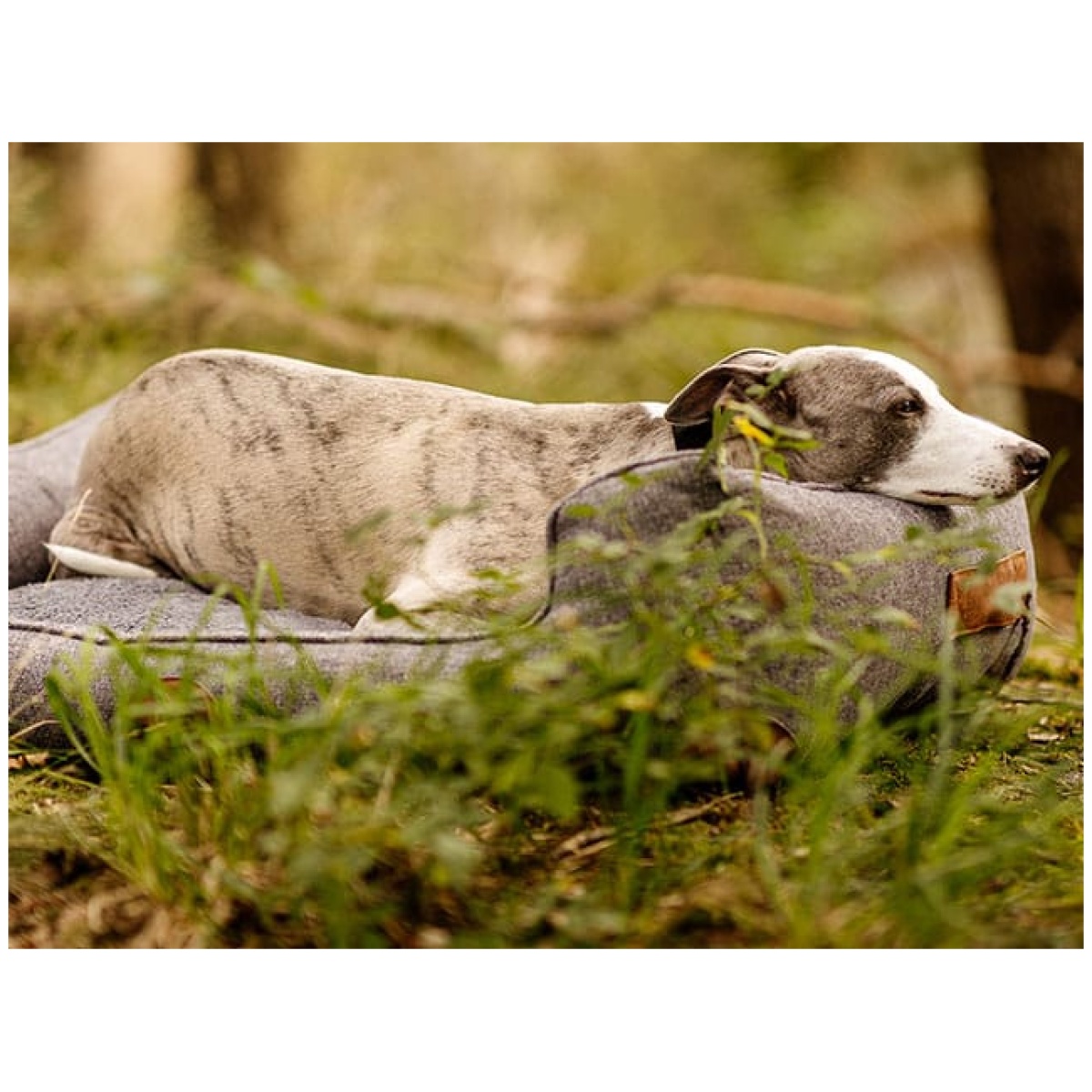 Swaggin Tails Sömnig Hundeseng, Space Grey - Image 7