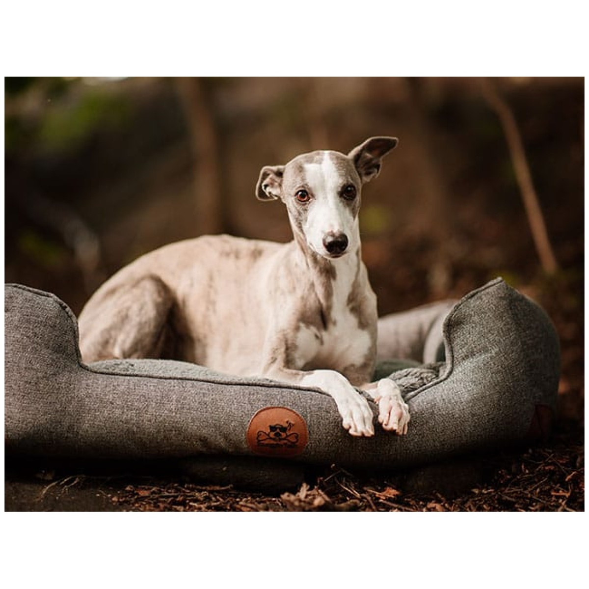 Swaggin Tails Sömnig Hundeseng, Space Grey - Image 12