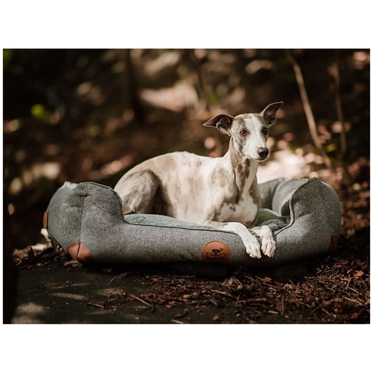 Swaggin Tails Sömnig Hundeseng, Space Grey - Image 11