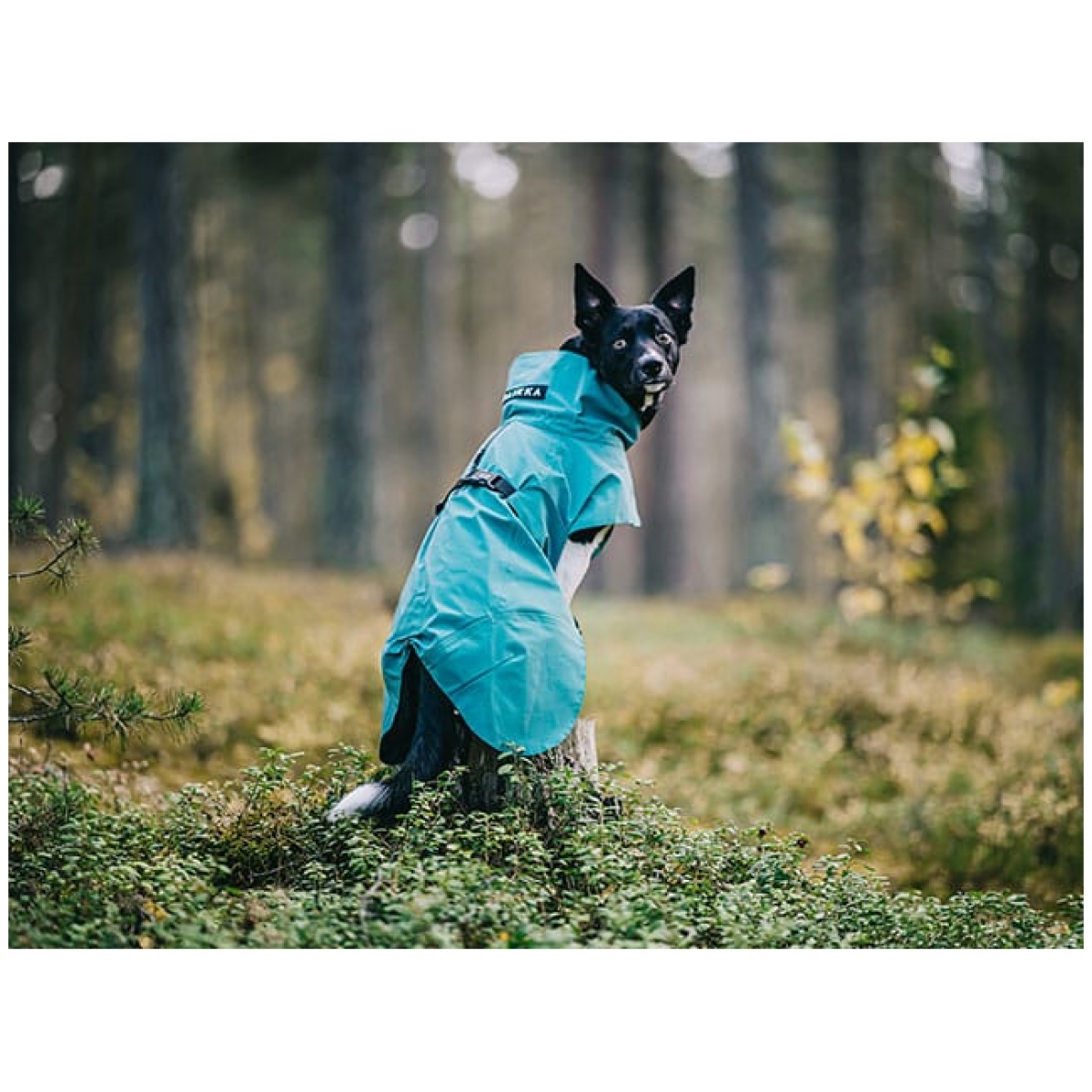 Paikka Visibility regnfrakke, Emerald - Image 11