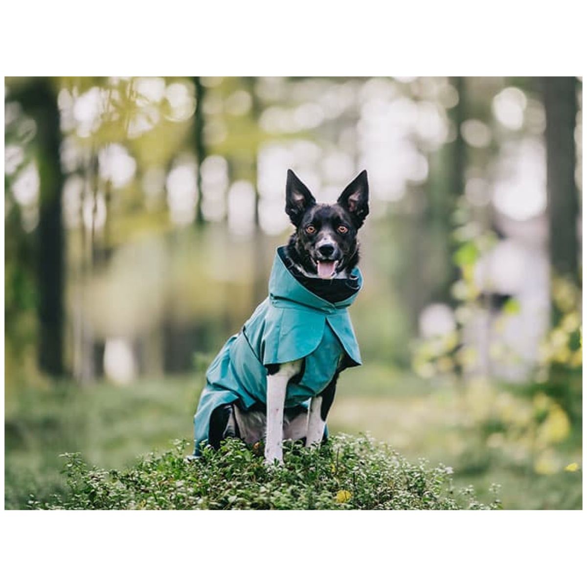 Paikka Visibility regnfrakke, Emerald - Image 10