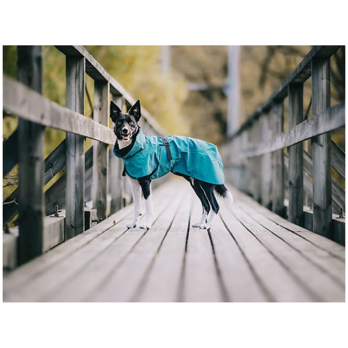 Paikka Visibility regnfrakke, Emerald - Image 9