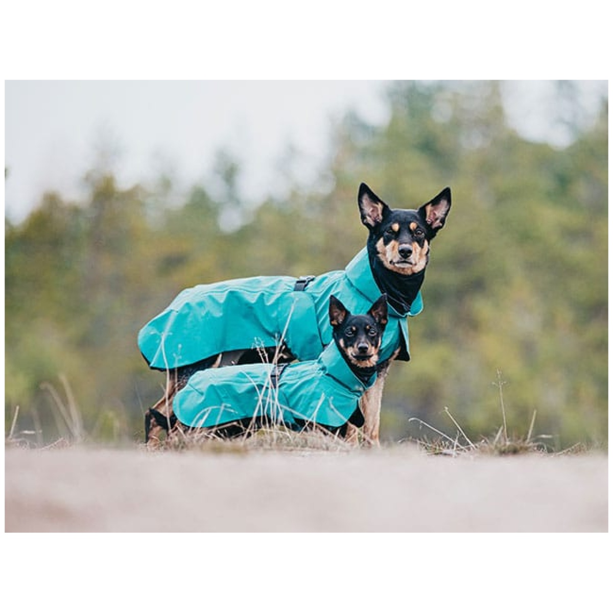 Paikka Visibility regnfrakke, Emerald - Image 6