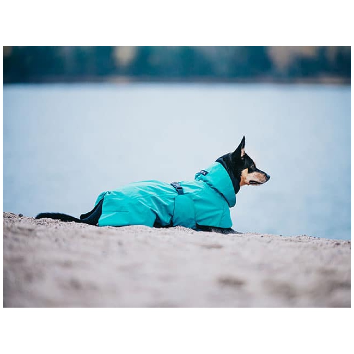 Paikka Visibility regnfrakke, Emerald - Image 7