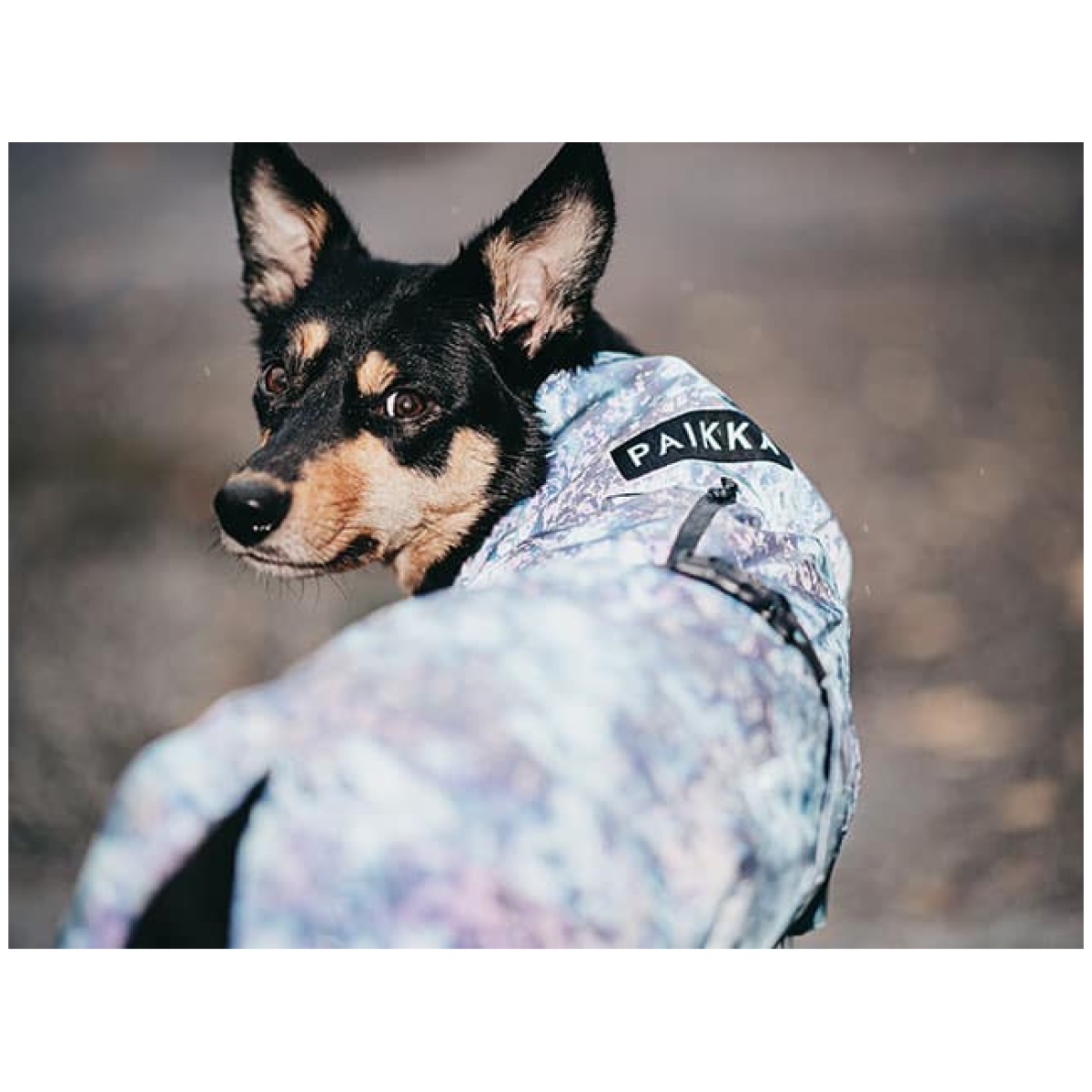 Paikka Visibility regnfrakke, Lite Petrol dye - Image 9