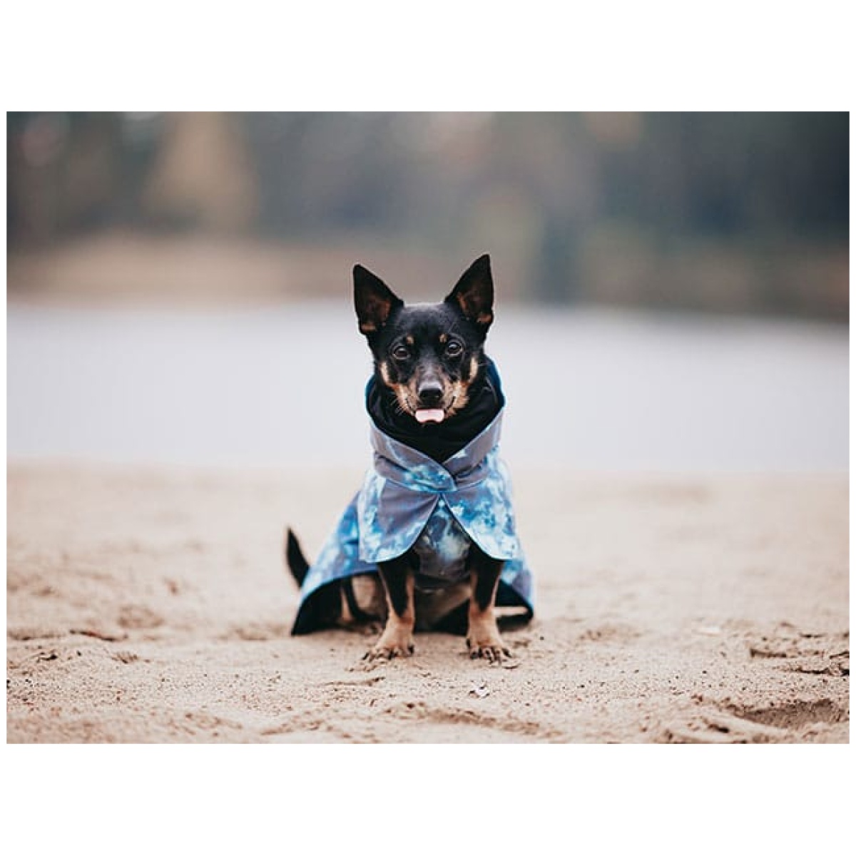 Paikka Visibility regnfrakke, Lite Petrol dye - Image 6