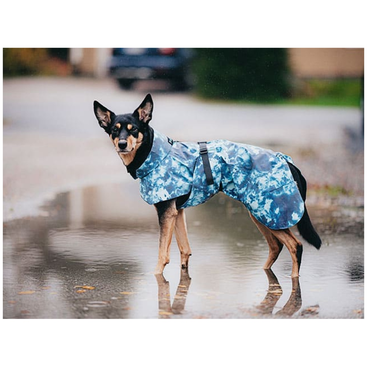 Paikka Visibility regnfrakke, Lite Petrol dye - Image 7