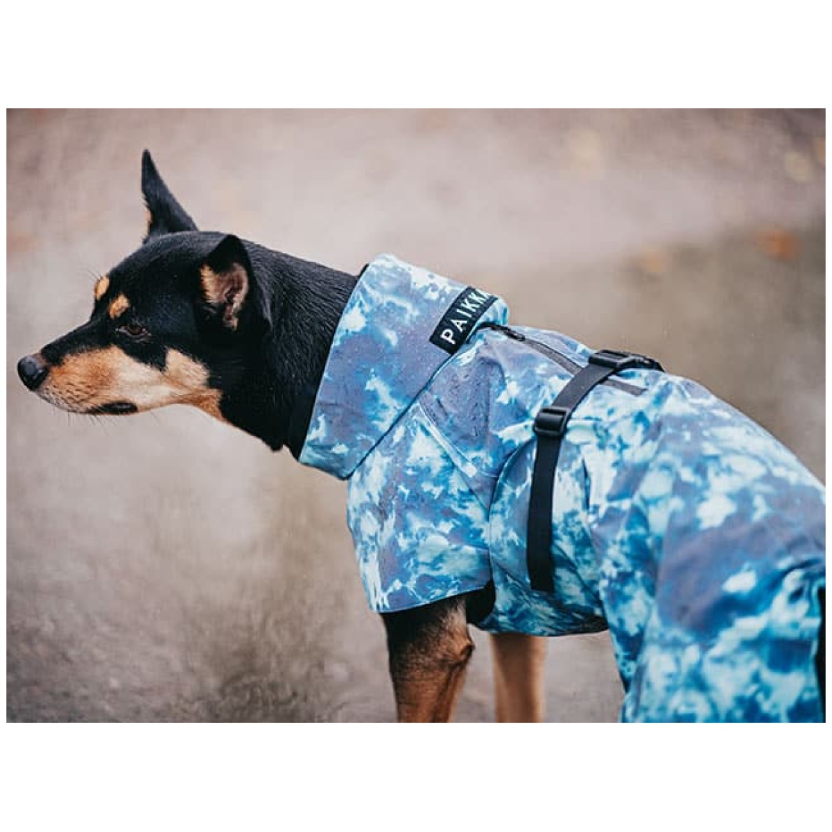 Paikka Visibility regnfrakke, Lite Petrol dye - Image 8