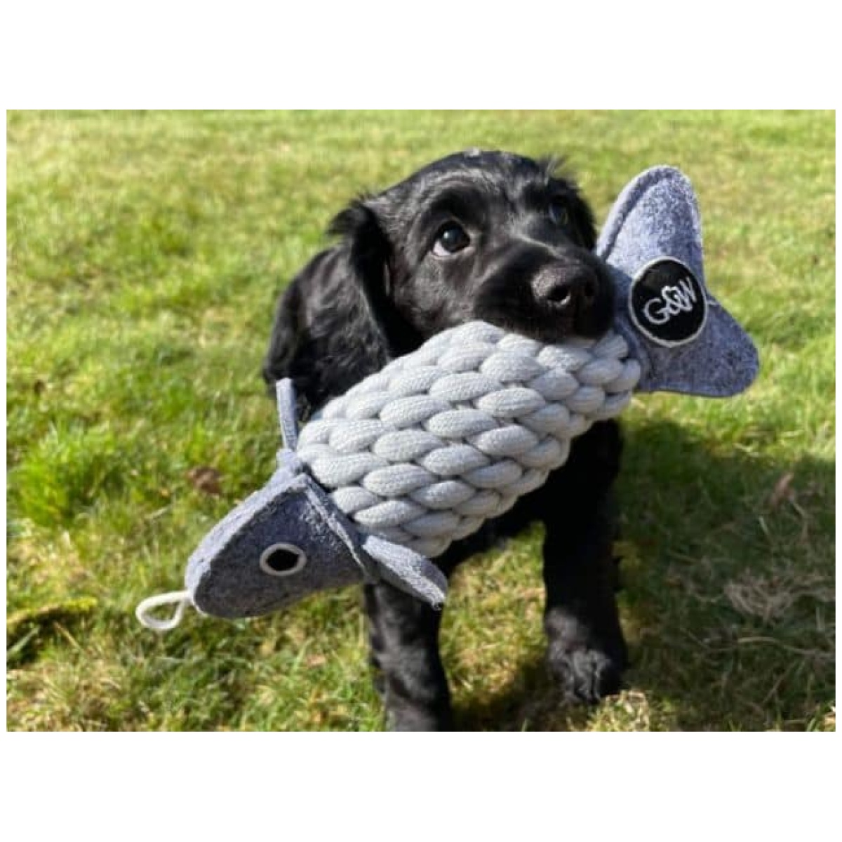 Green & Wilds Roger the Rope Fish - Image 6