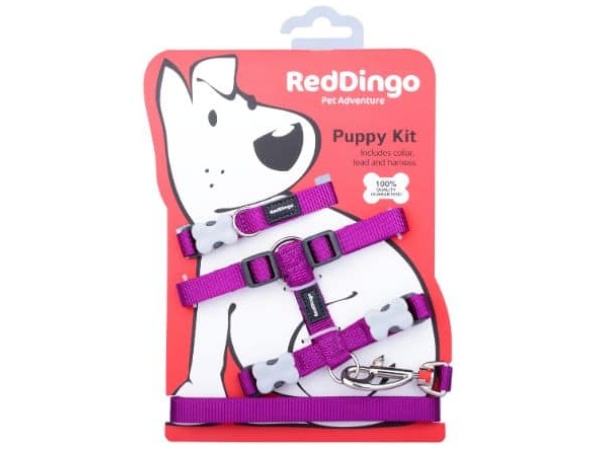 Red Dingo Hvalpesæt, lilla