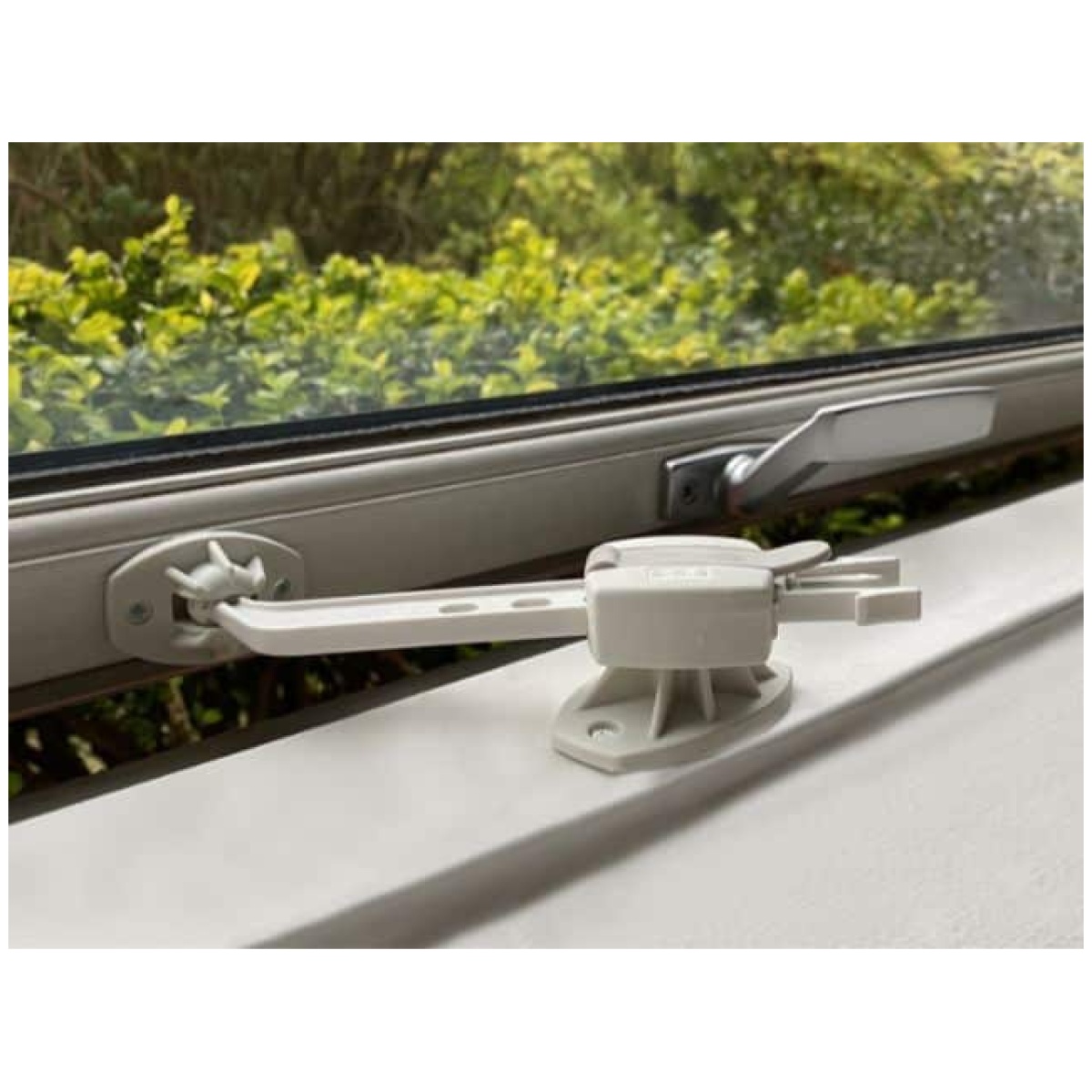 Starter kit per cuccioli DogSpace - immagine 6