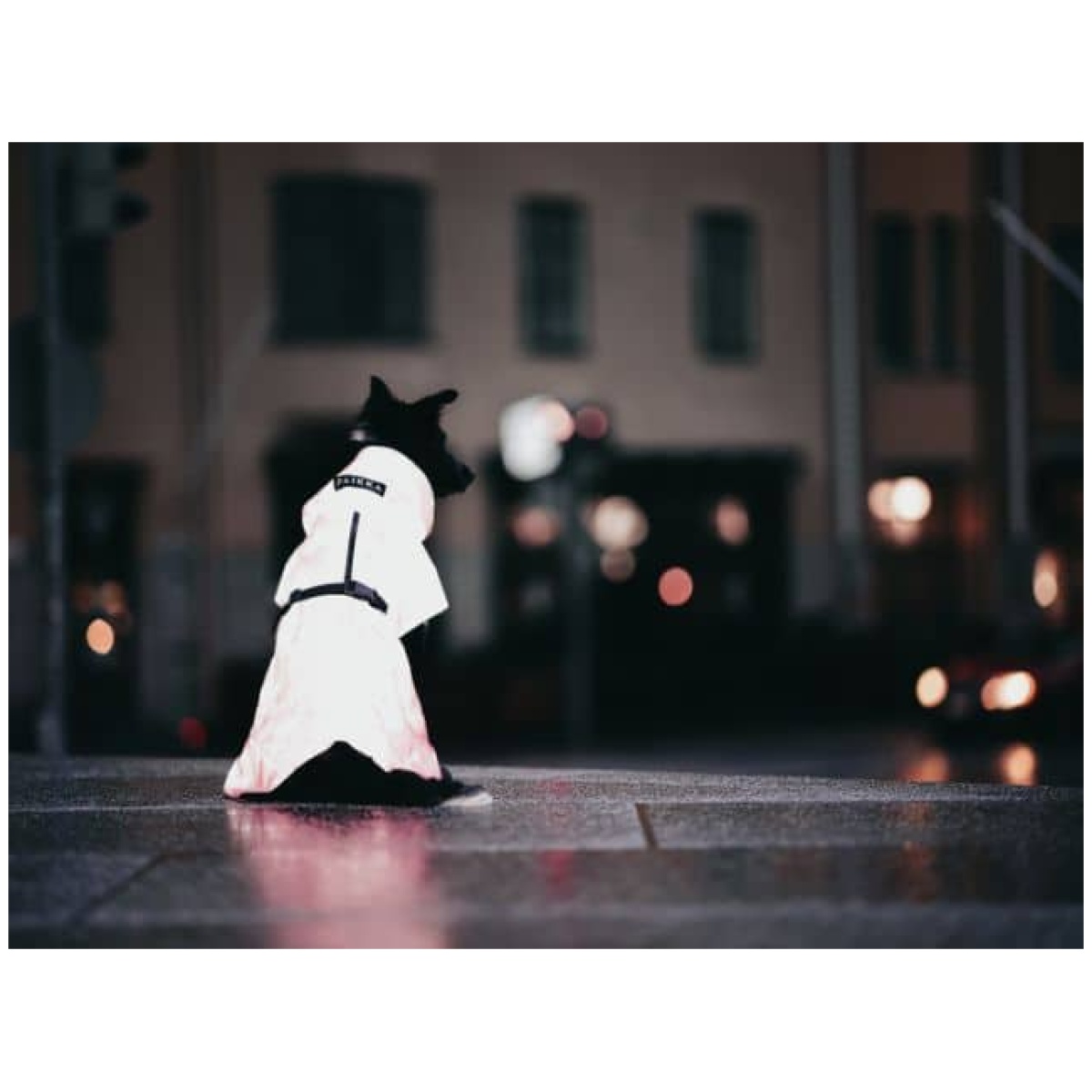 Paikka Visibility Regenmantel, rosa – Bild 6