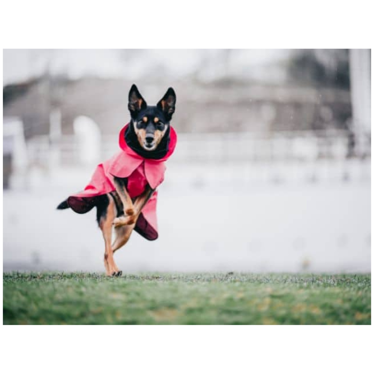 Paikka Visibility Regenmantel, rosa – Bild 9