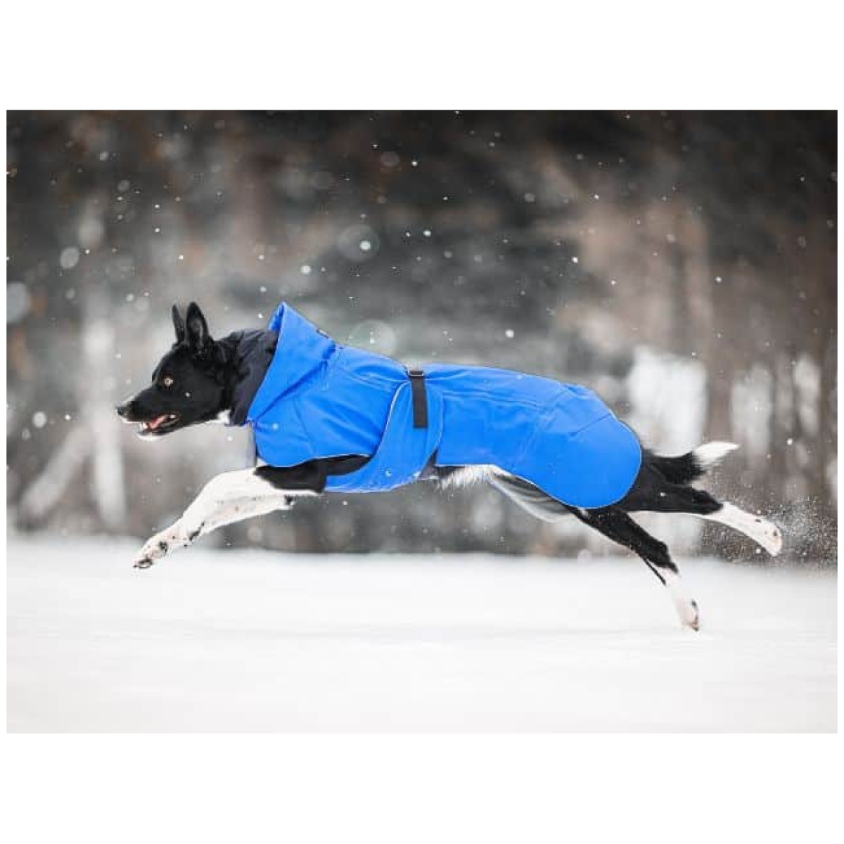 Paikka Recovery vinterfrakke, indigo - Image 8