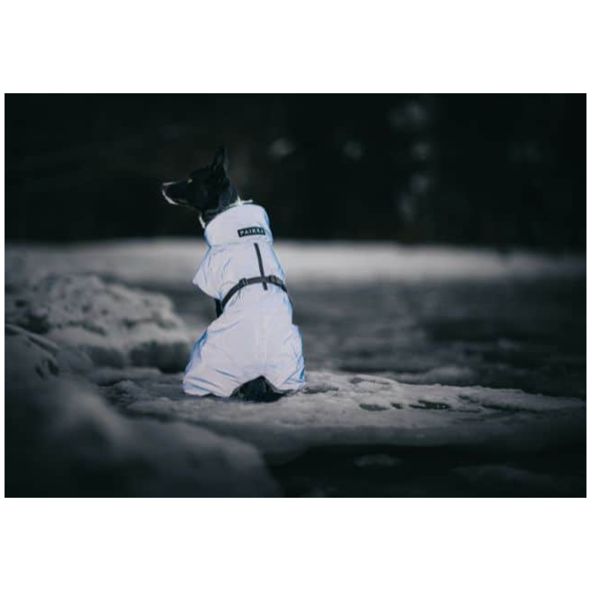 Paikka Recovery vinterfrakke, indigo - Image 11