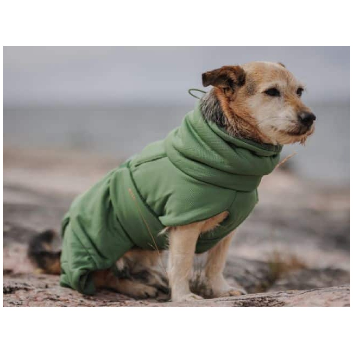 Paikka Tørredragt 2Go, Olive - Image 10