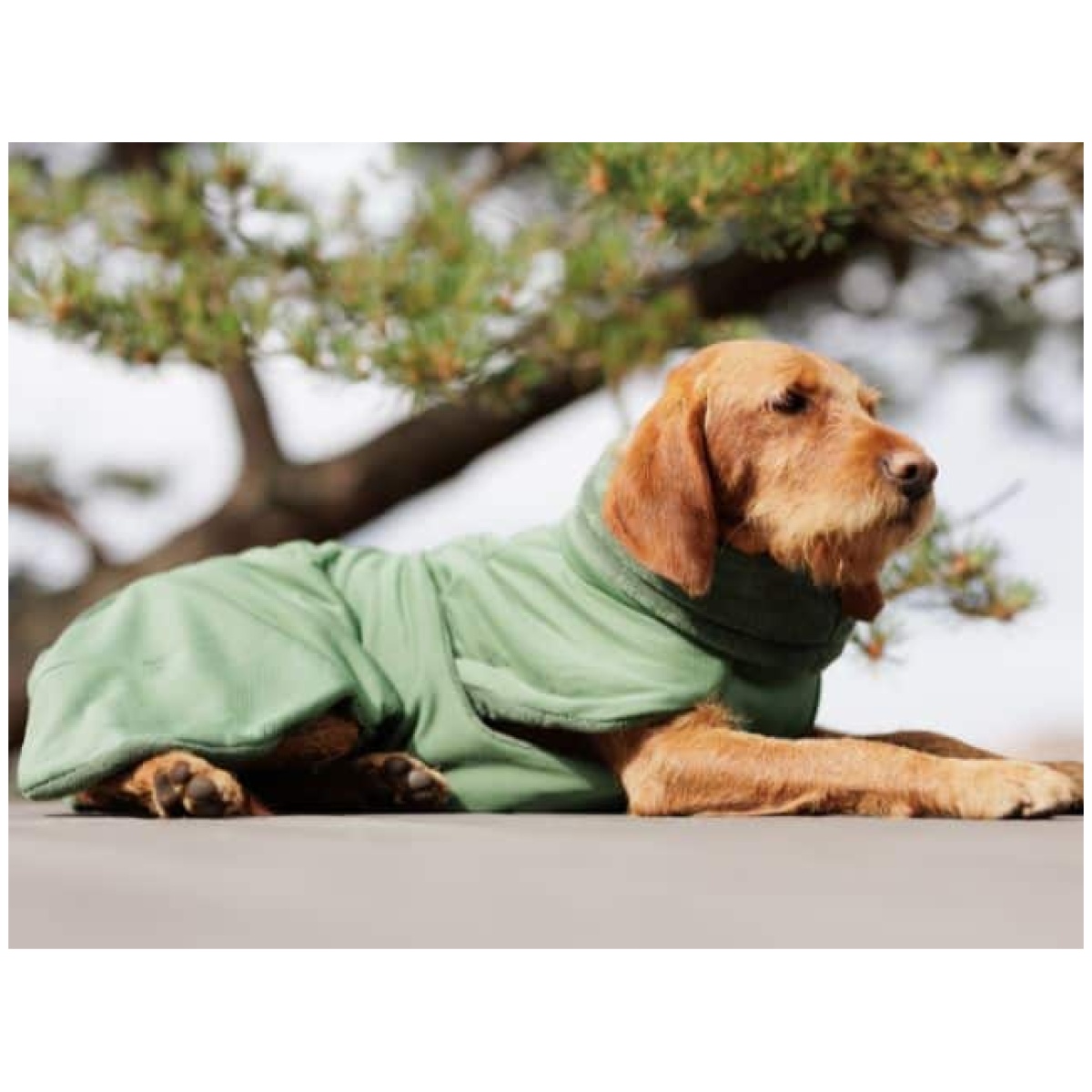 Paikka Tørredragt 2Go, Olive - Image 11