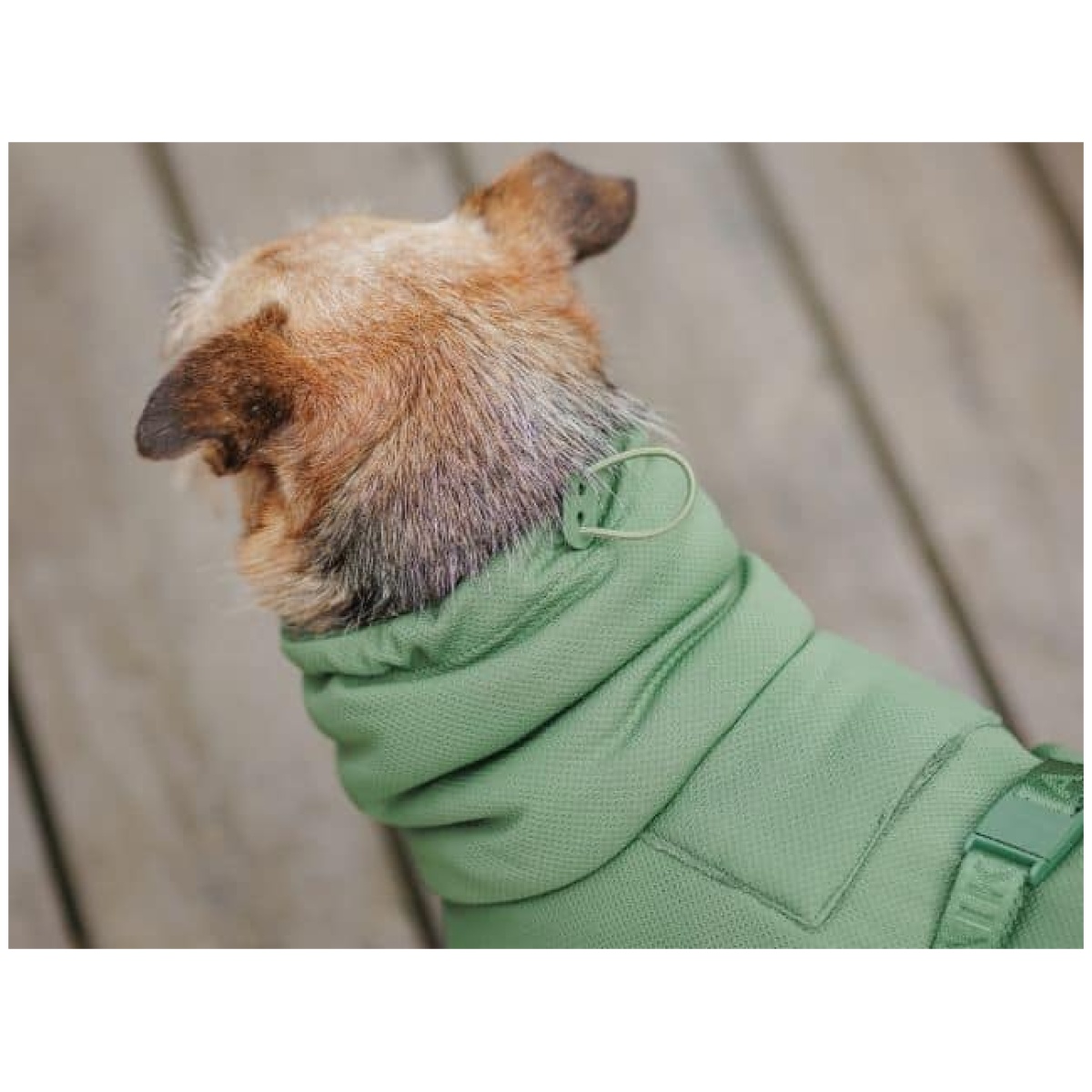 Paikka Tørredragt 2Go, Olive - Image 9