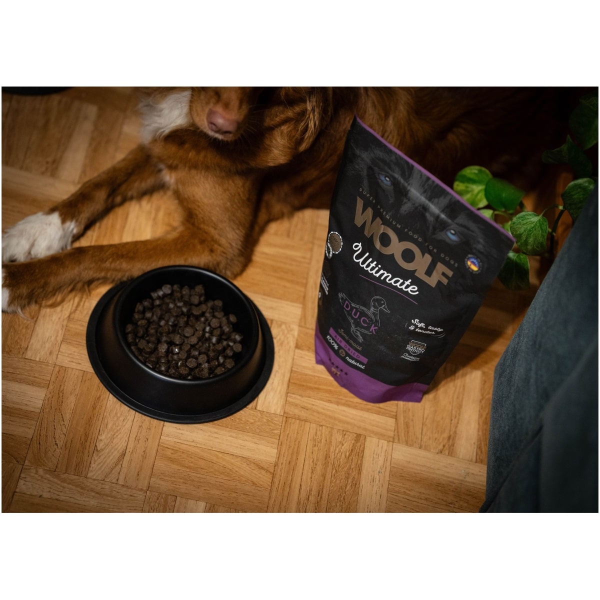 Woolf Ultimate, Duck, 1kg - Image 7