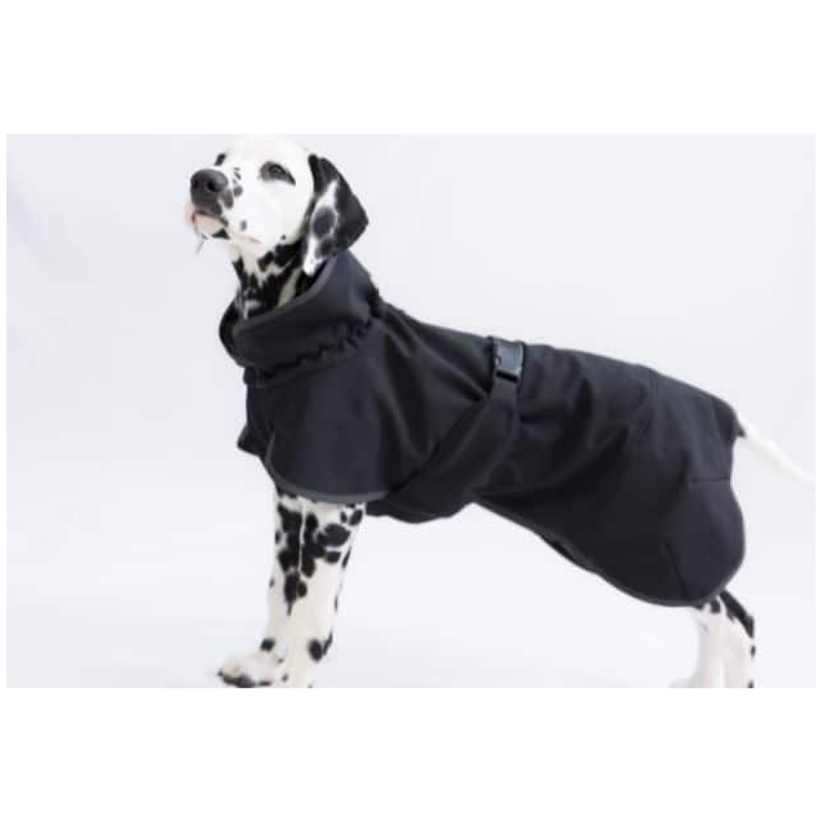 Paikka Recovery Softshell Jakke, sort - Image 6