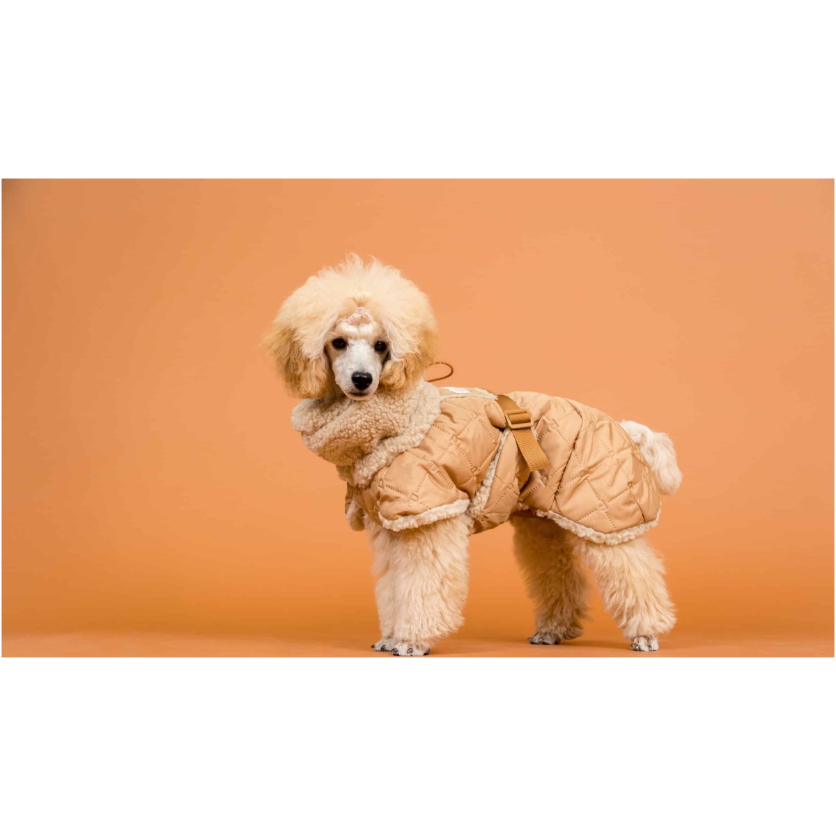 Paikka Gesteppte Sherpa Jacke, Kamel – Bild 13