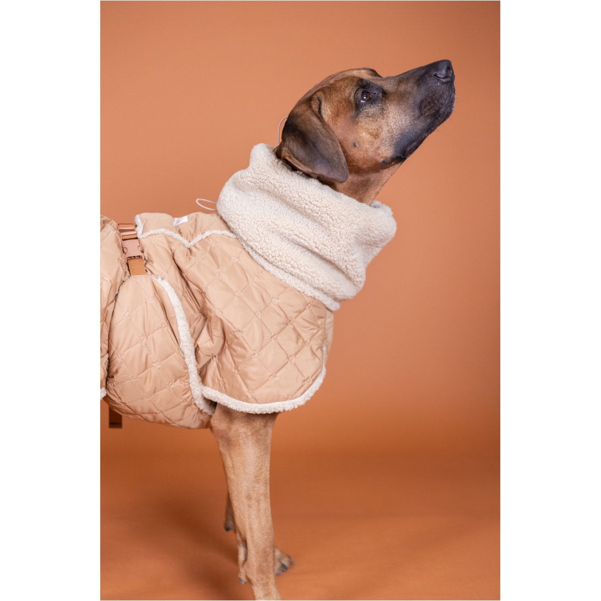 Paikka Quilted Sherpa Jakke, Camel - Image 6