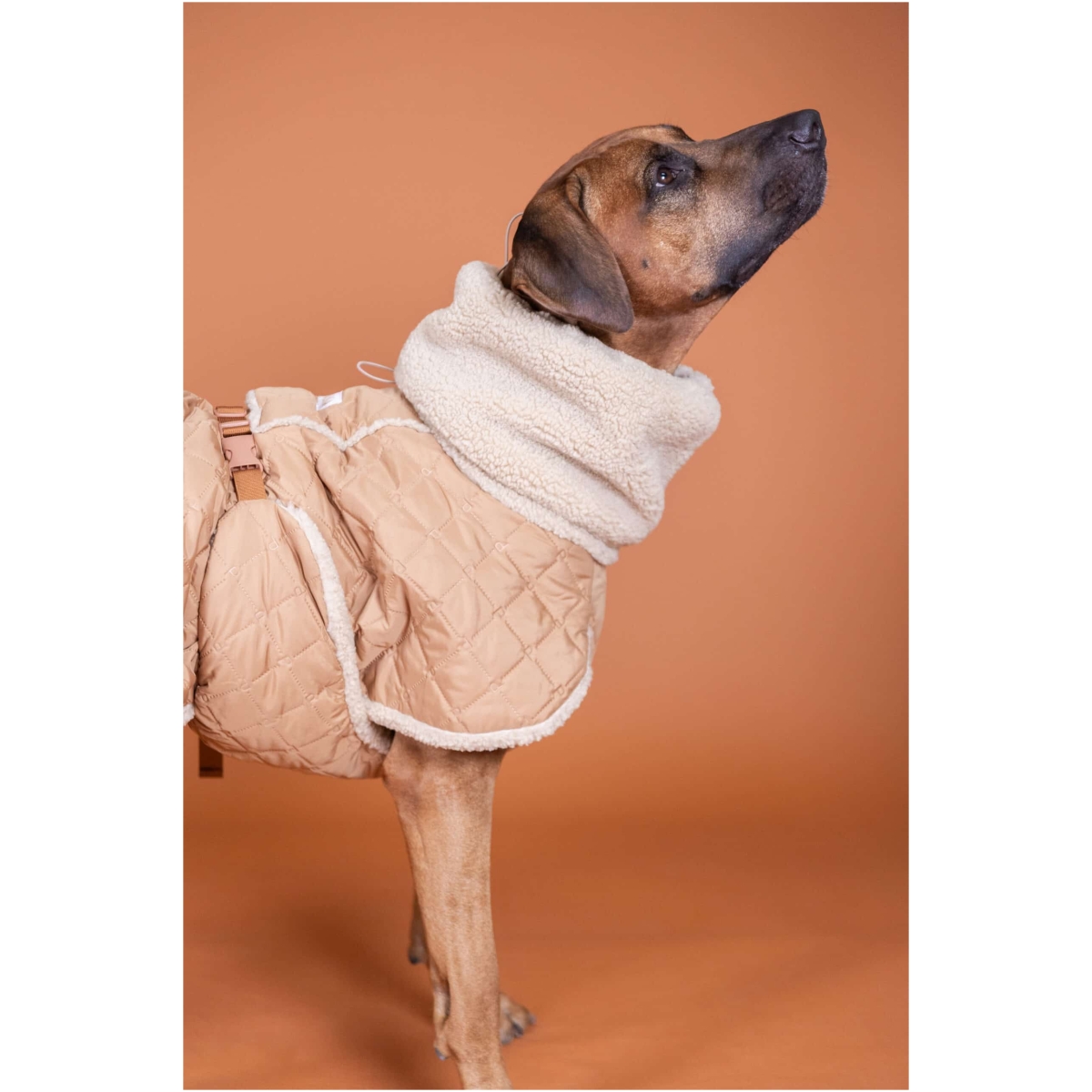 Paikka Gesteppte Sherpa Jacke, Kamel – Bild 6