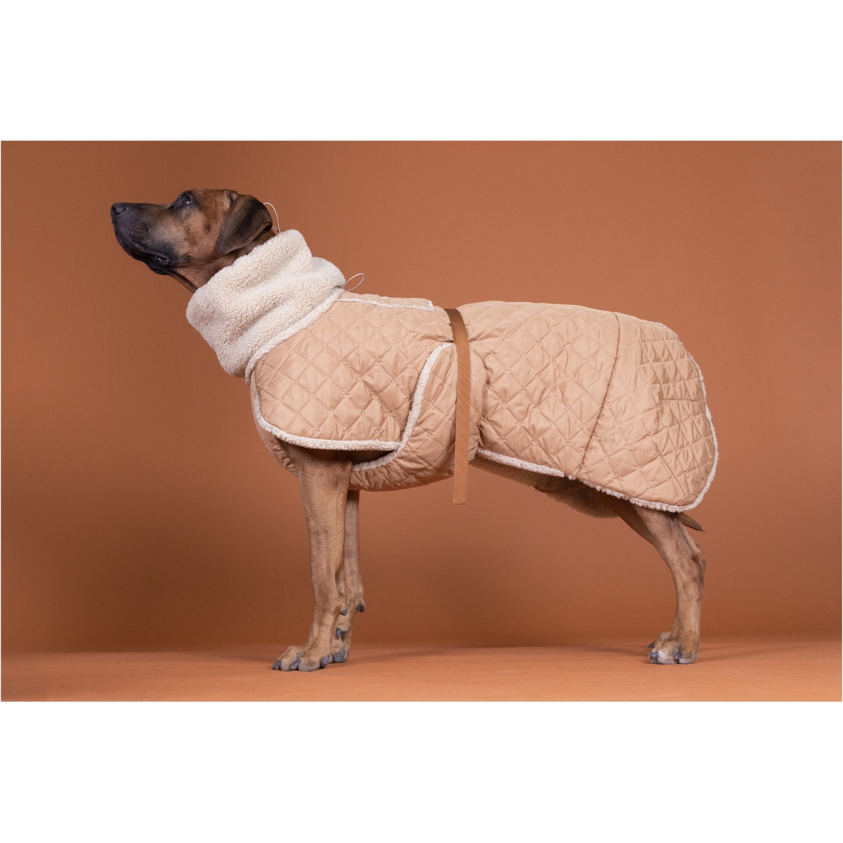 Paikka Quilted Sherpa Jakke, Camel - Image 7