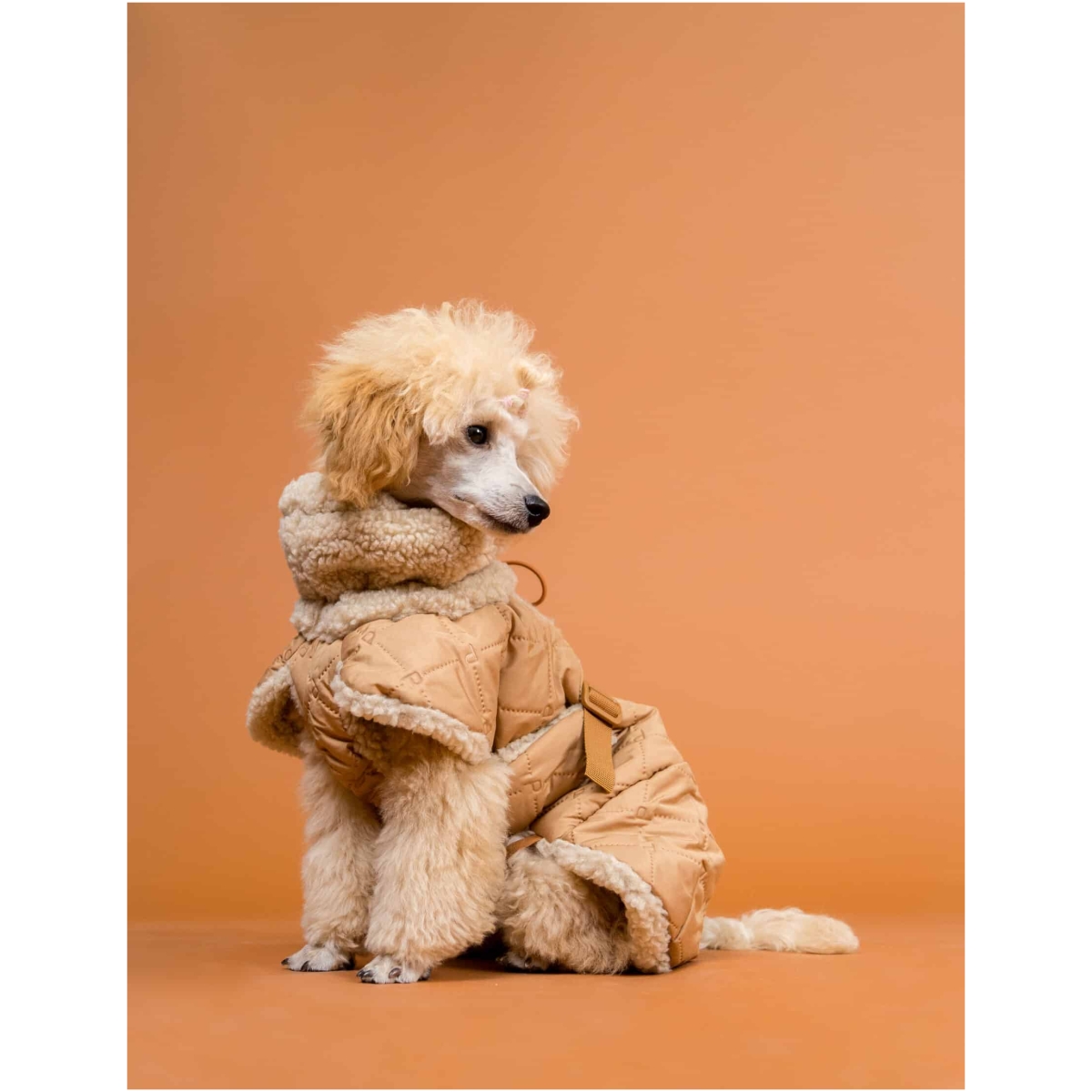 Paikka Gesteppte Sherpa Jacke, Kamel – Bild 8