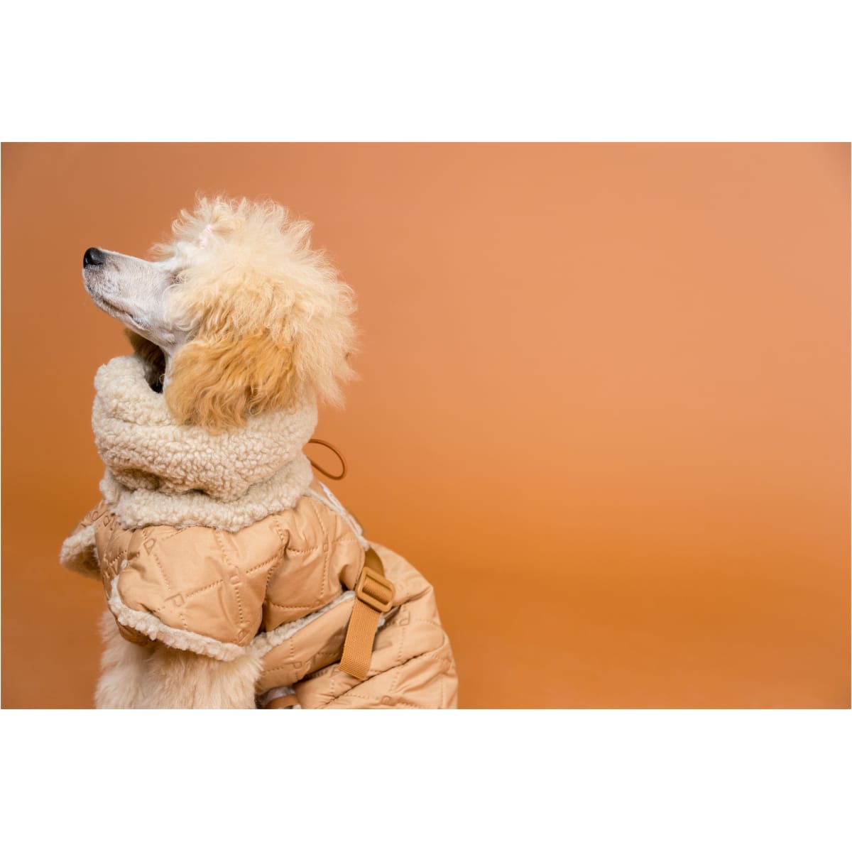 Paikka Quilted Sherpa Jakke, Camel - Image 9