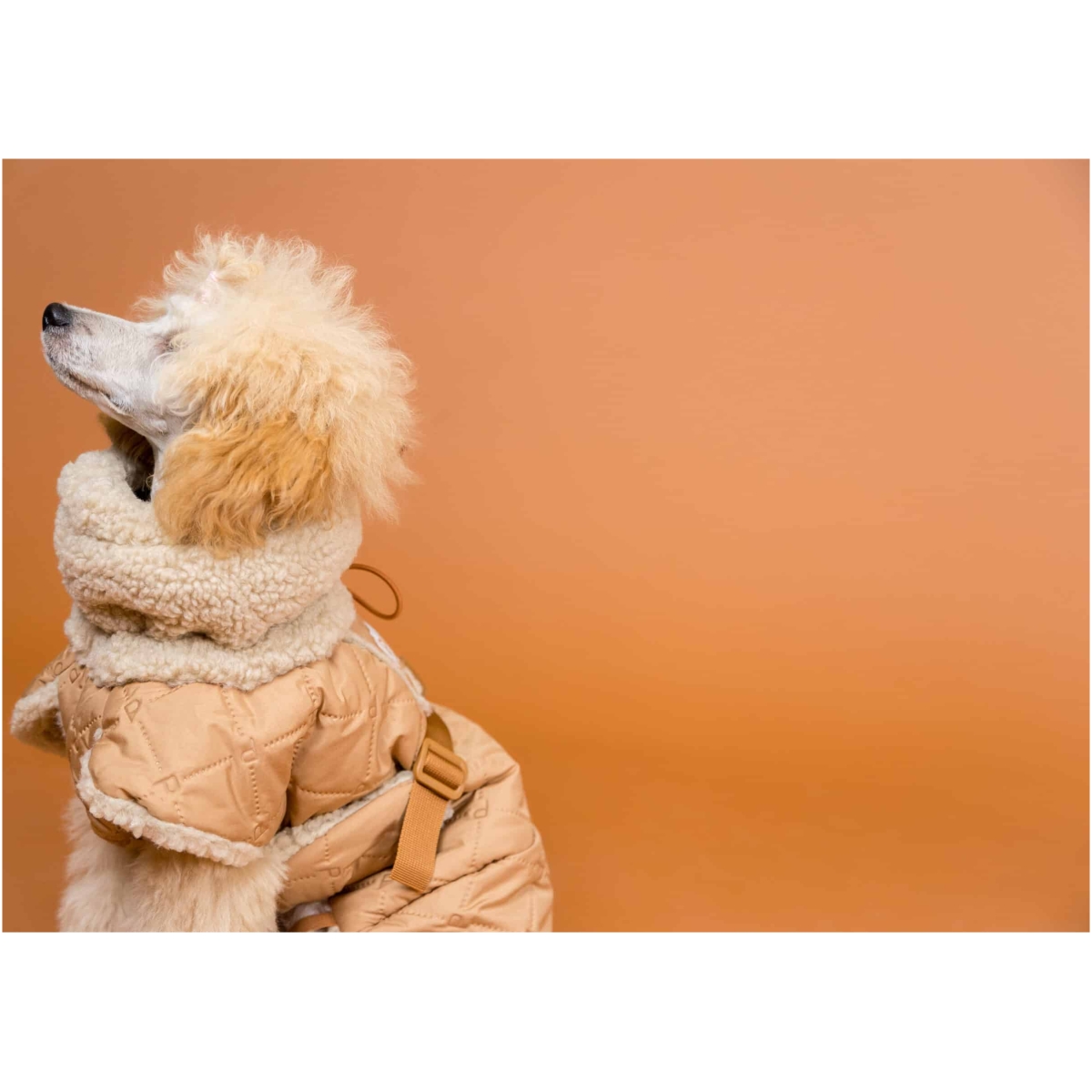 Paikka Gesteppte Sherpa Jacke, Kamel – Bild 9