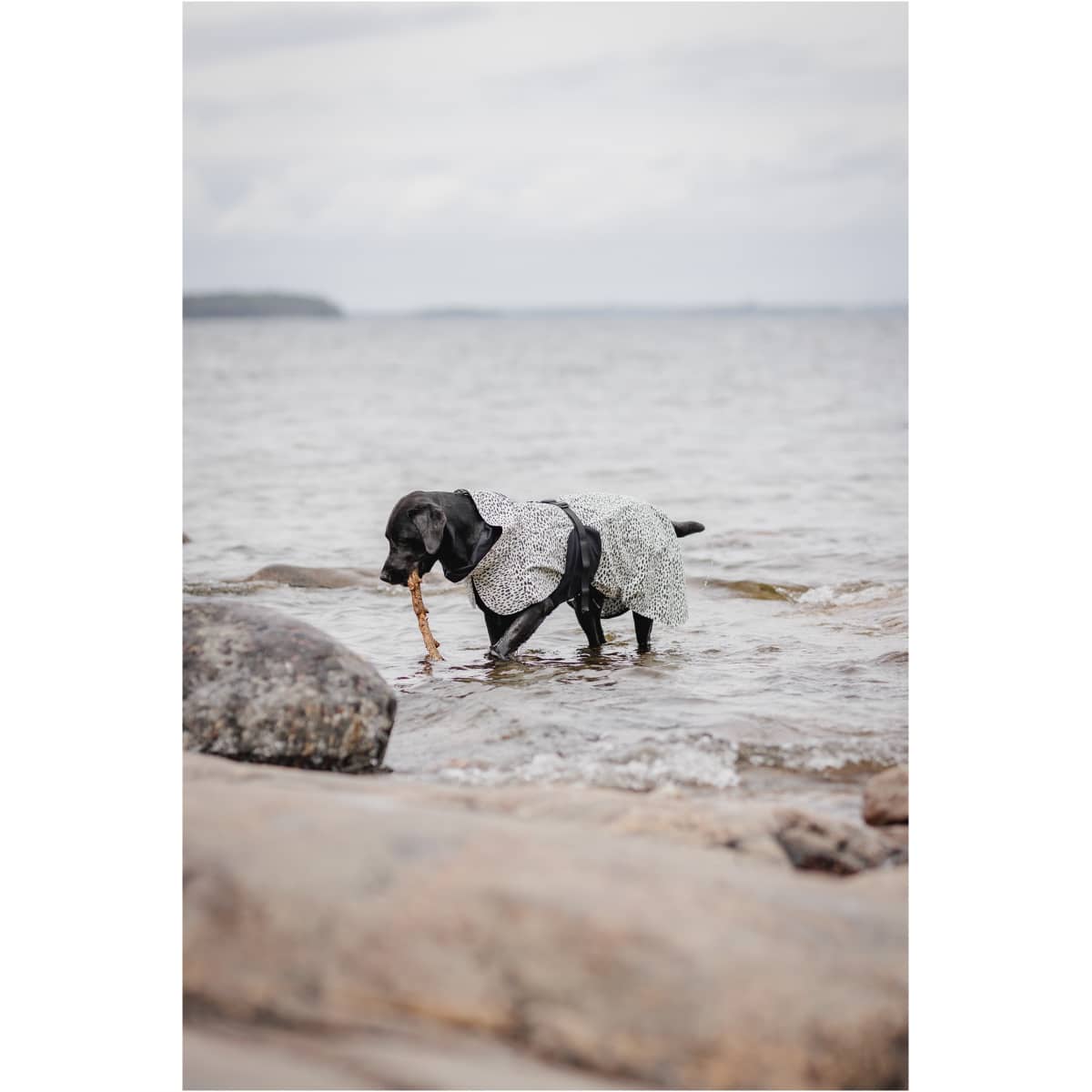 Paikka Regnfrakke 2.0 - Image 13