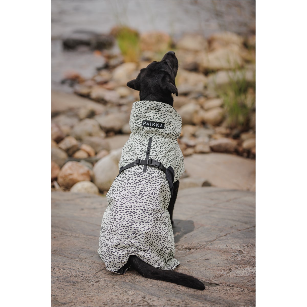 Paikka Regnfrakke 2.0 - Image 12