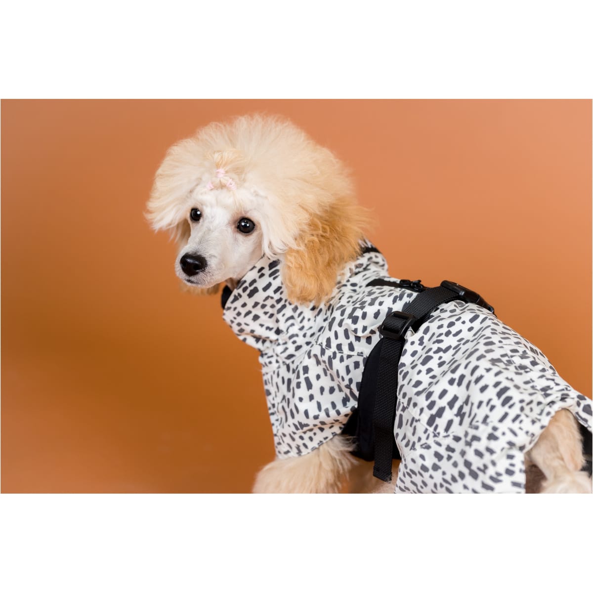 Paikka Regnfrakke 2.0 - Image 7