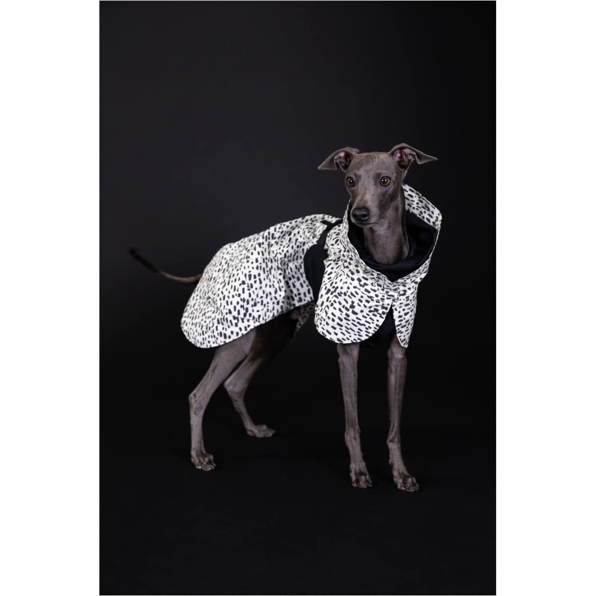 Paikka Regnfrakke 2.0 - Image 8