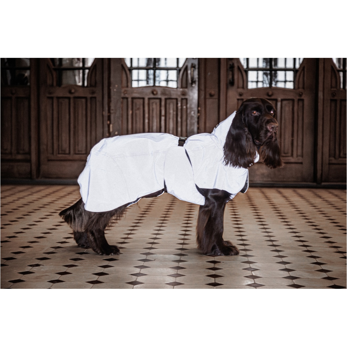 Paikka Visibility Regnjakke, Taupe - Image 12