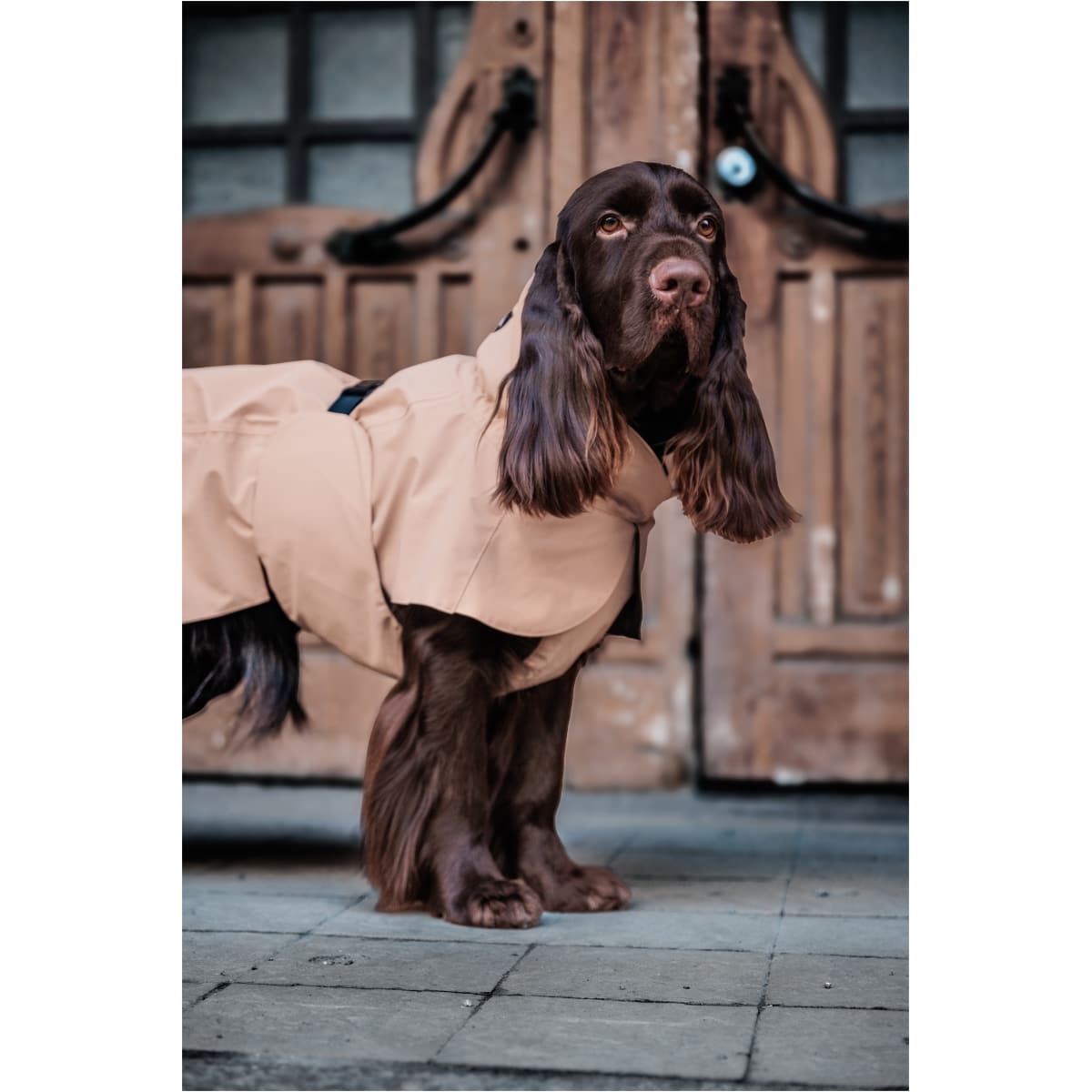 Paikka Visibility Regnjakke, Taupe - Image 11