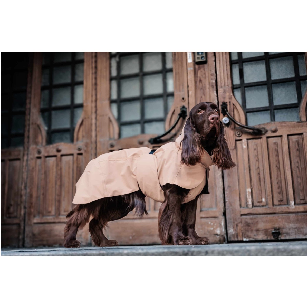 Paikka Visibility Rain Jacket, Taupe - Image 9