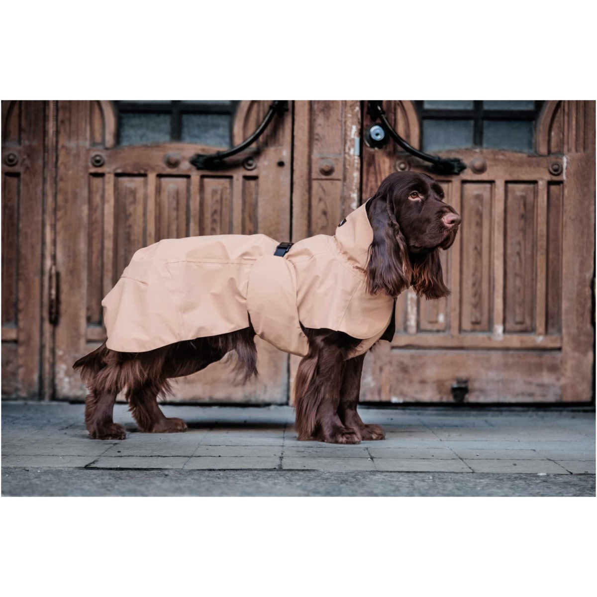 Paikka Visibility Rain Jacket, Taupe - Image 8