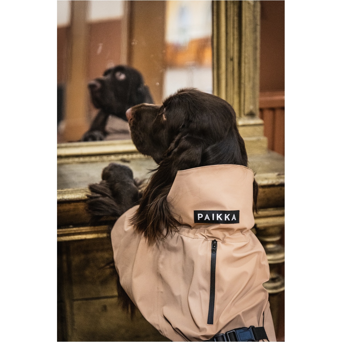 Paikka Visibility Regnjakke, Taupe - Image 7