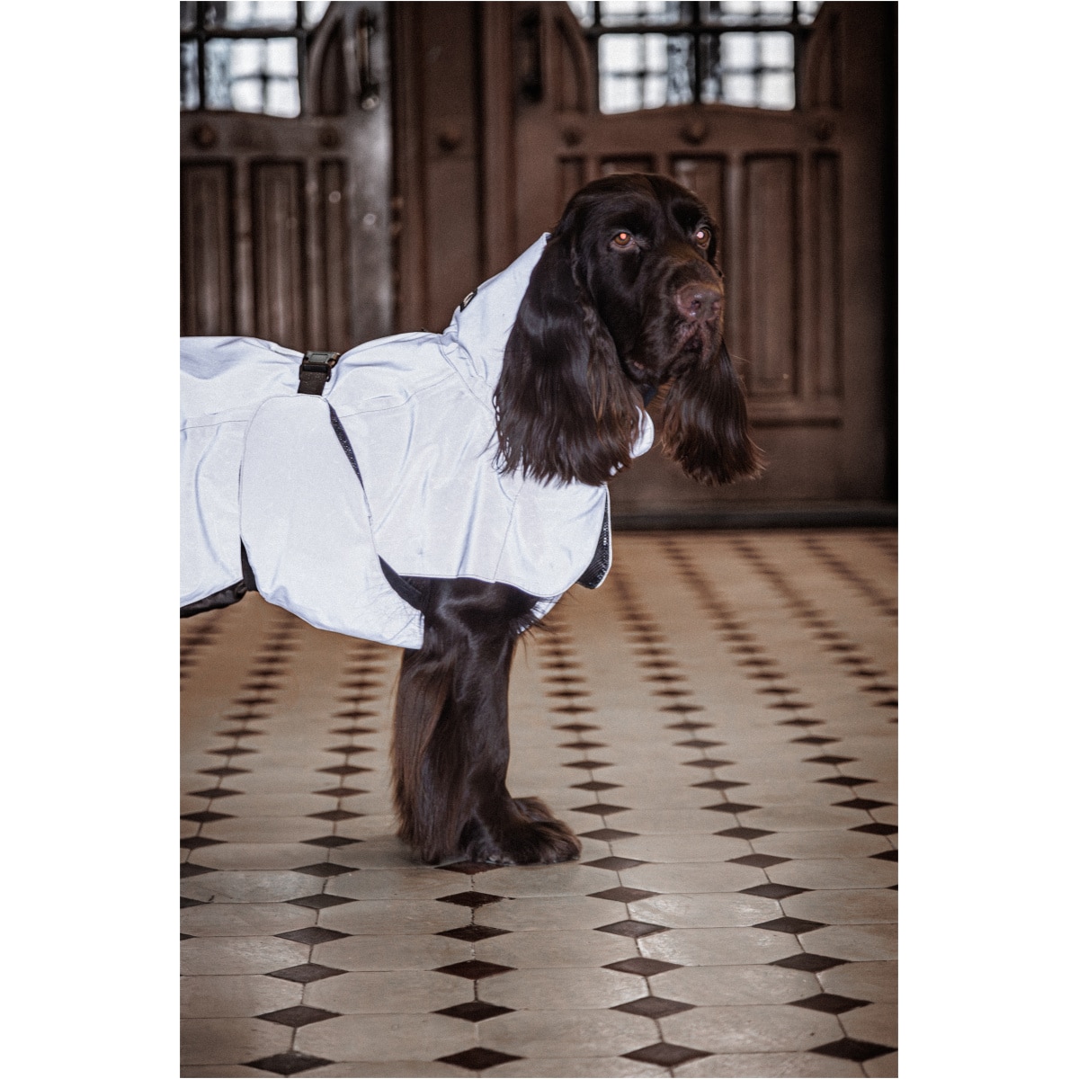 Paikka Visibility Regnjakke, Taupe - Image 13